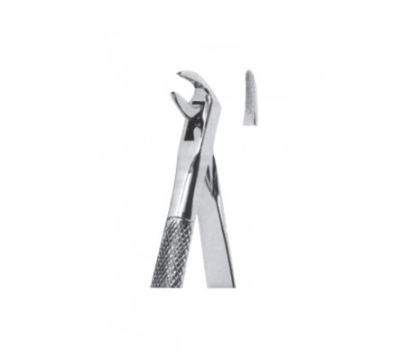 Extracting Forceps